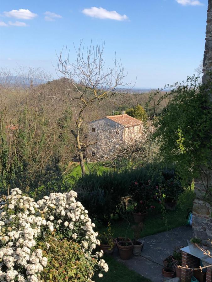 Dolce Vita In Tuscany Cottage Capannori Ngoại thất bức ảnh