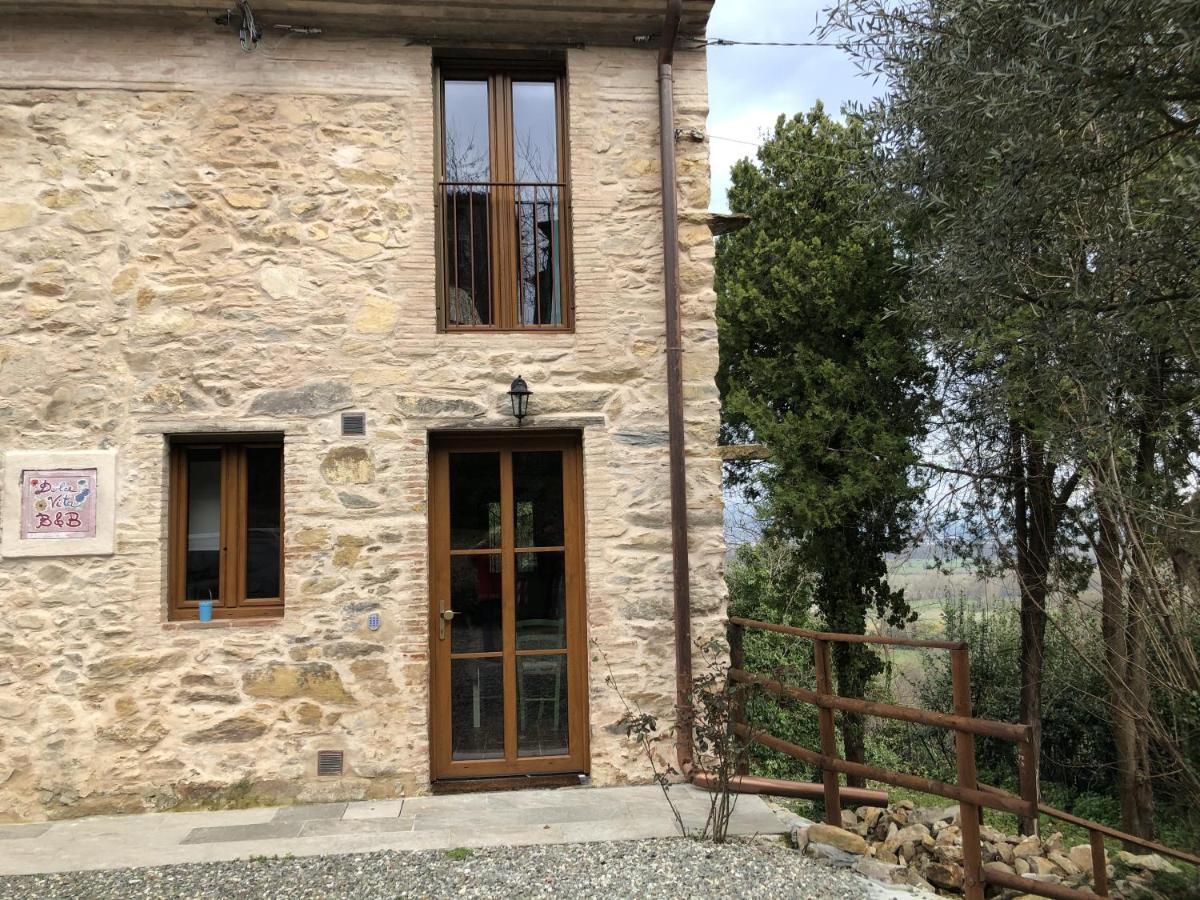 Dolce Vita In Tuscany Cottage Capannori Ngoại thất bức ảnh