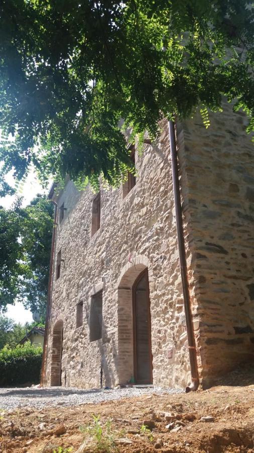 Dolce Vita In Tuscany Cottage Capannori Ngoại thất bức ảnh
