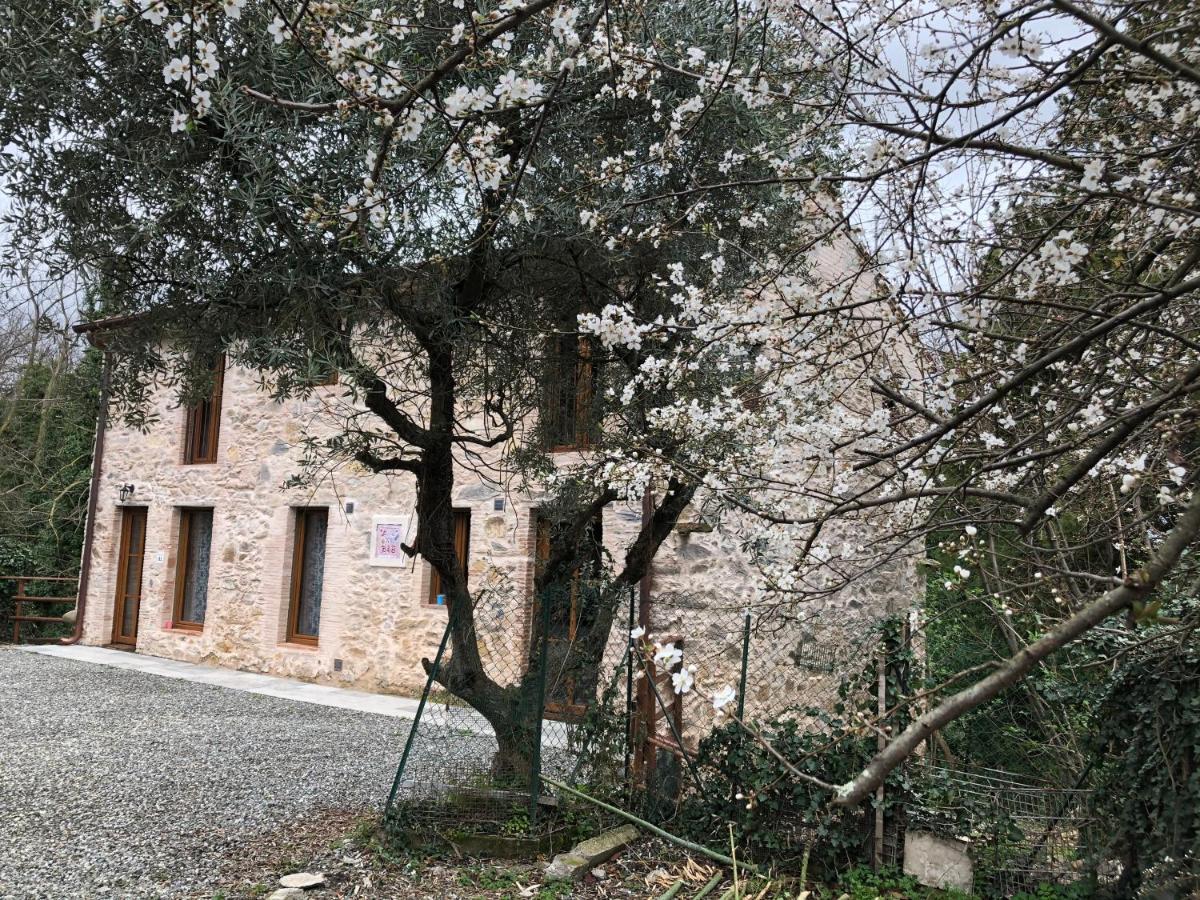 Dolce Vita In Tuscany Cottage Capannori Ngoại thất bức ảnh
