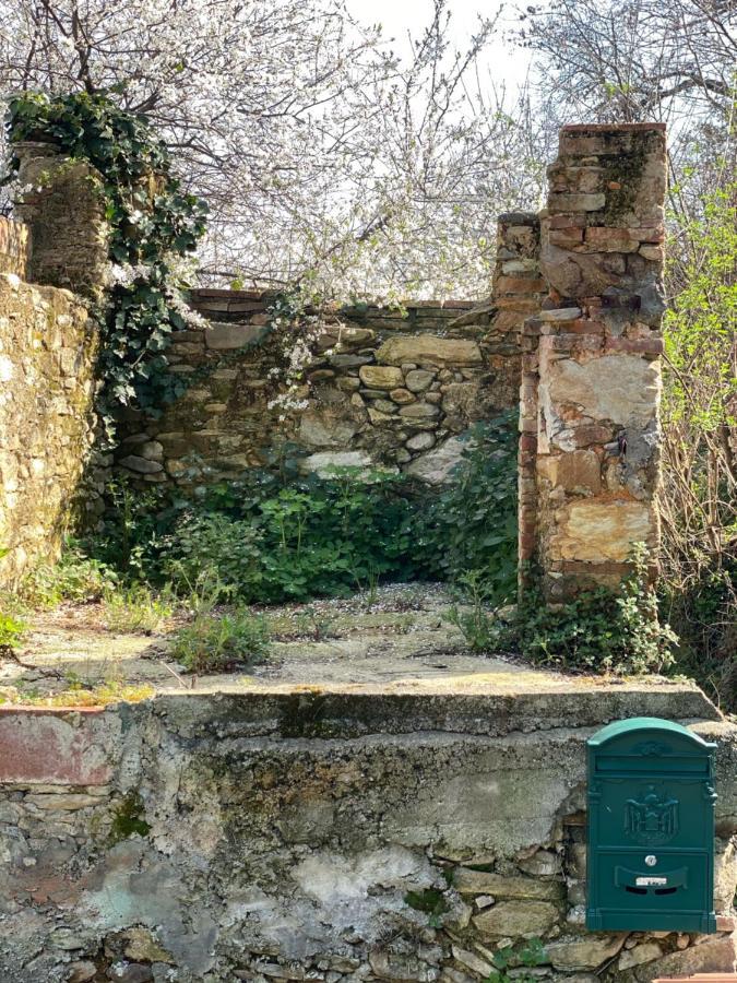 Dolce Vita In Tuscany Cottage Capannori Ngoại thất bức ảnh