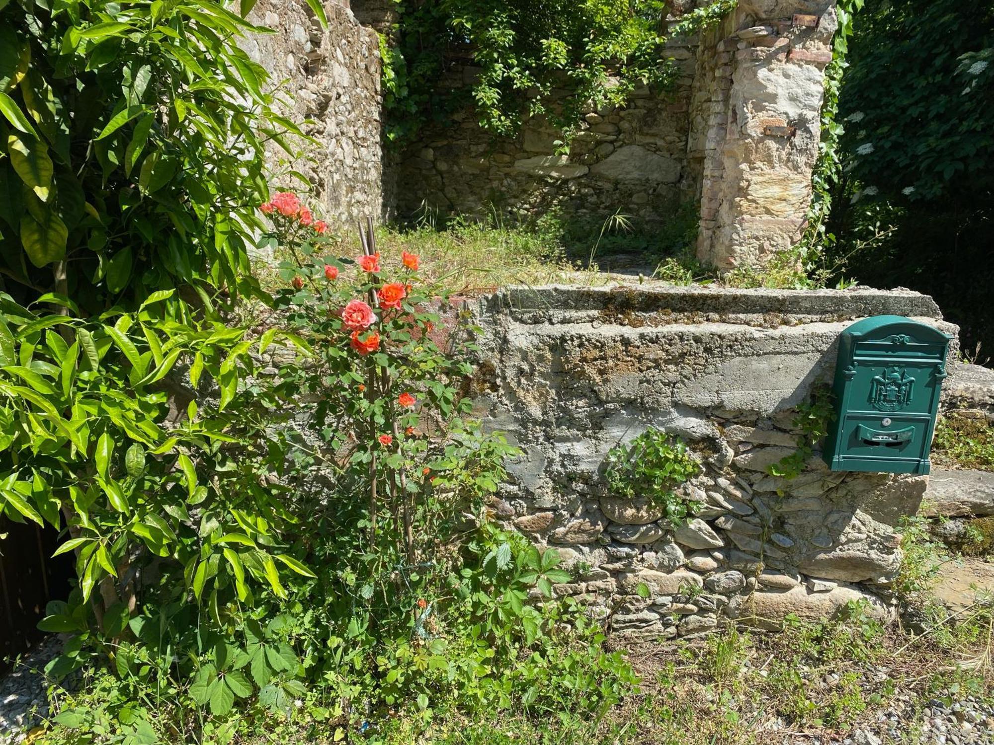 Dolce Vita In Tuscany Cottage Capannori Ngoại thất bức ảnh